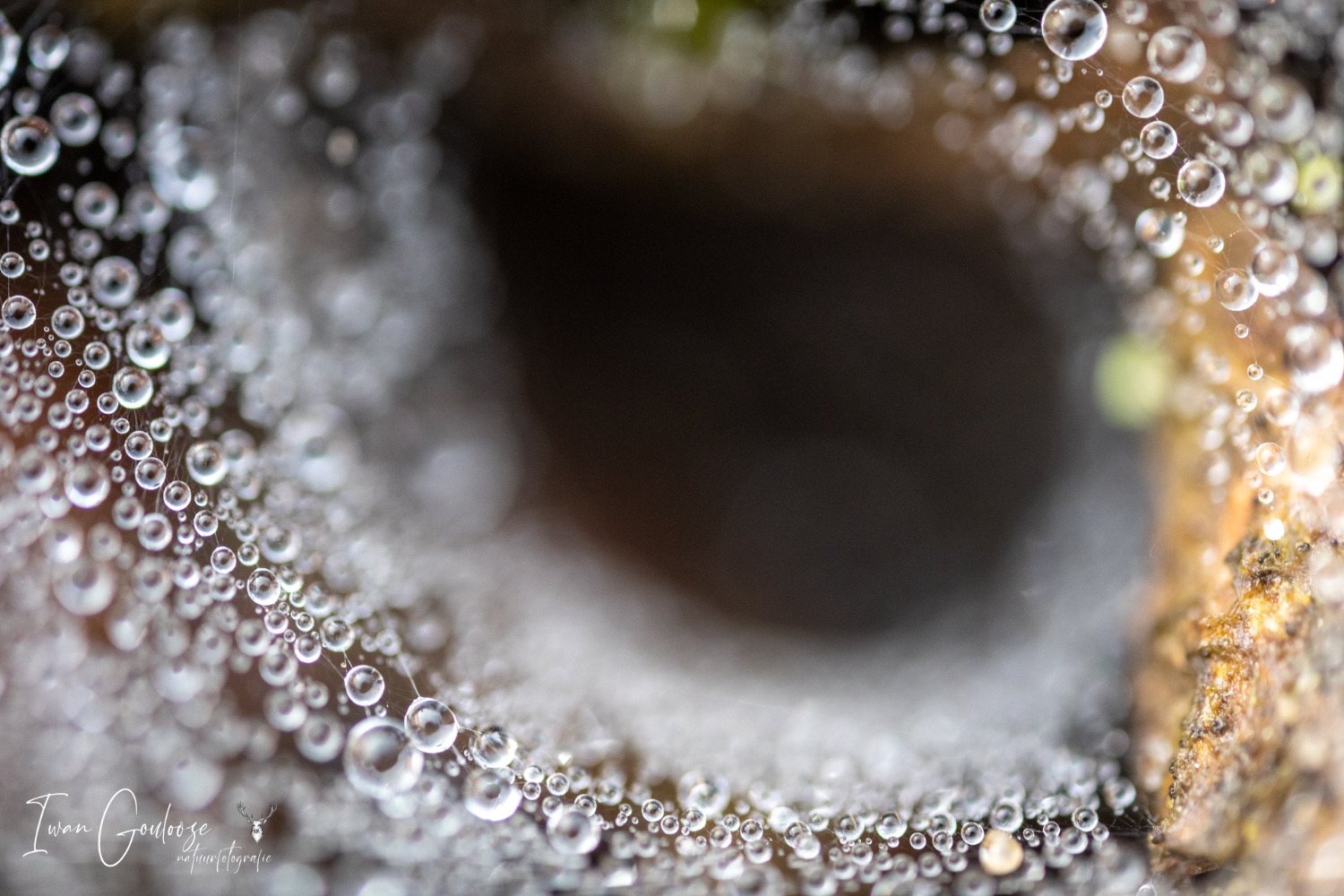 06 mei 2023 095424  R2A5415